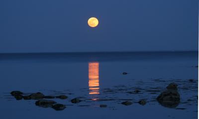 May 4, 2004, full moon rise, Westport, CT