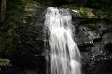 Newland 3
