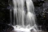 Newland 5