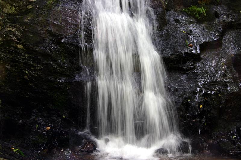 Newland 4