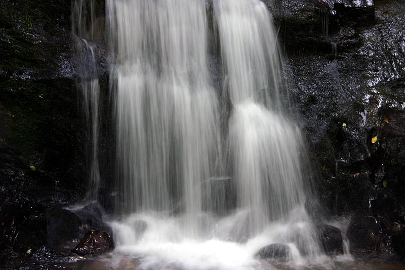 Newland 6
