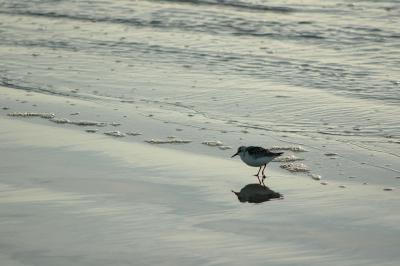 DSC_2027.jpg