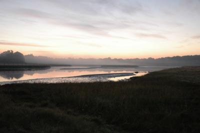 image0001.jpg