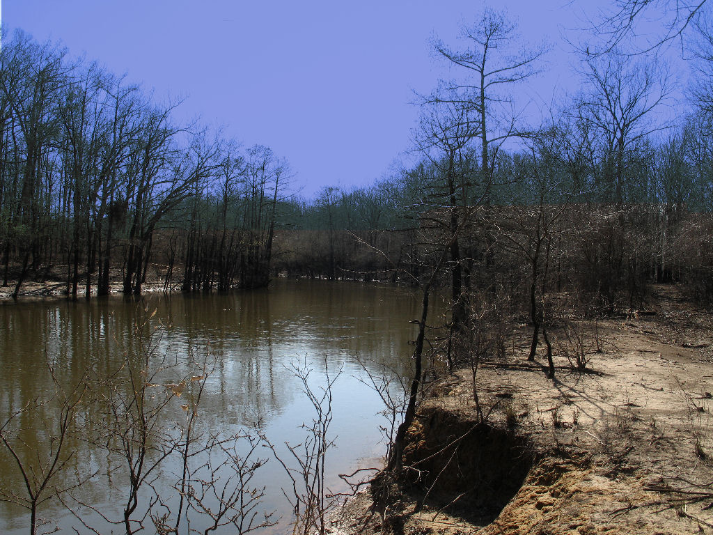 Down On The Bayou *