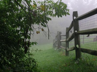 Just-Pics-048.jpg
