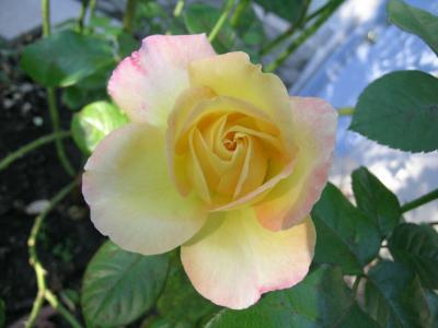 Just-Pics-059.jpg