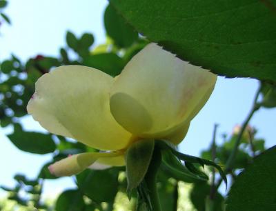 Just-Pics-069.jpg