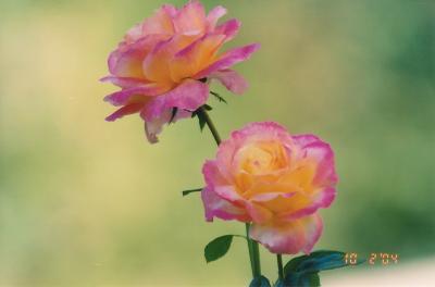 Just-Pics-094.jpg