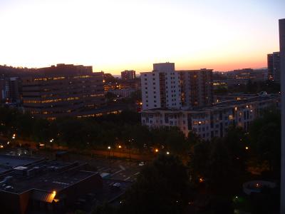 Balcony View