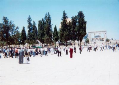 u34/nelsswenson/medium/31321708.14.3JerusalemAlAsqa.jpg
