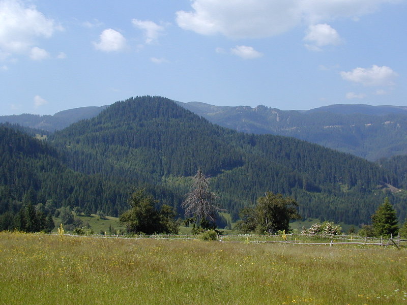 P7111927.JPG
