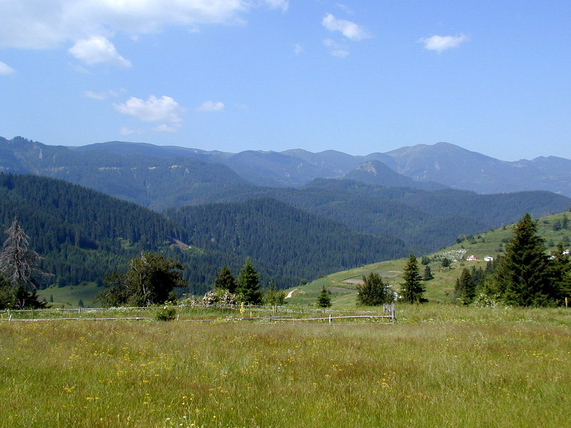 P7111928.JPG