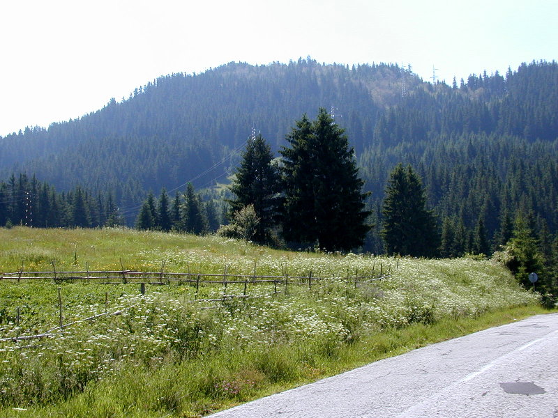 P7111930.JPG
