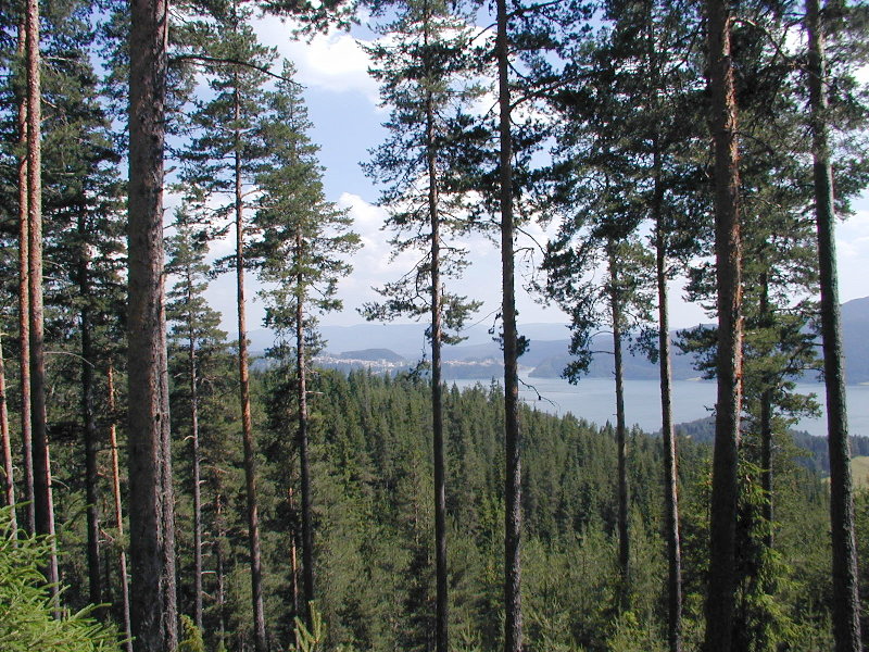 P7112061.JPG