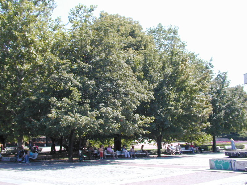 P8182315.JPG