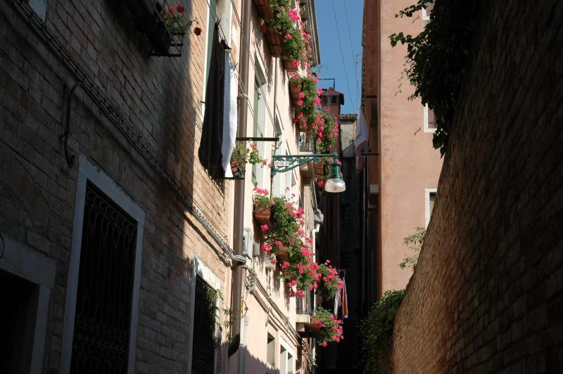 DPSCamera_0162.JPG