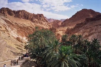 Oasis of Chebika, Tamerza and Tozeur 03.05