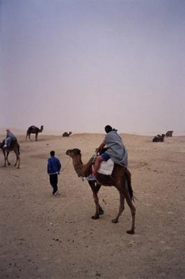 Sahara camel rides