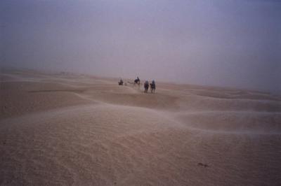 Sahara camel rides