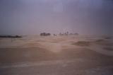Sahara camel rides