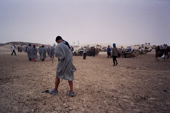 Sahara camel rides