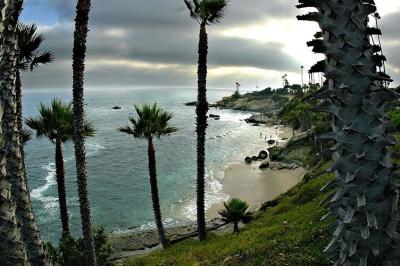 DSC_7390LagunaBchFxSh2_Sm.jpg