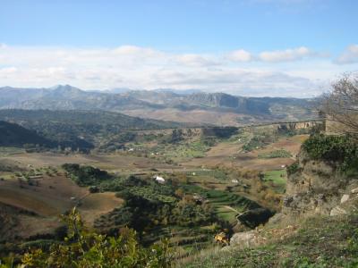 AndaluciaCountryside