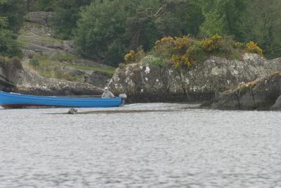 002_Glengarrif_bay.jpg
