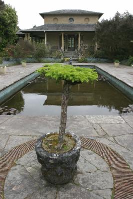 004_Illnacullin_Garnish_island.jpg