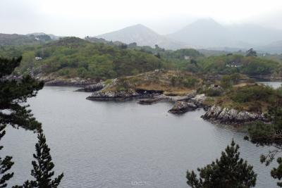 006_Illnacullin_Garnish_island.jpg