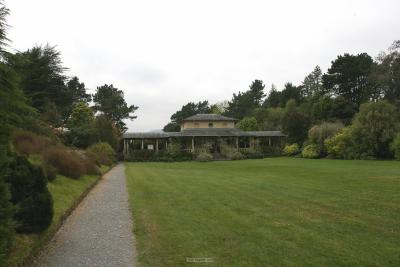 008_Illnacullin_Garnish_island.jpg
