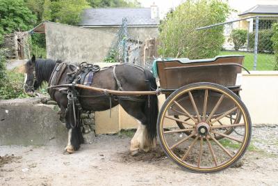 002_Gap_of_Dunloe_Horse_n_Cart.jpg