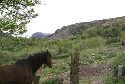 003_Gap_of_Dunloe.jpg