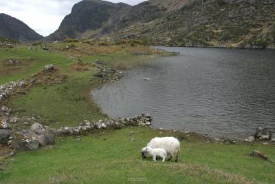 005_Gap_of_Dunloe.jpg
