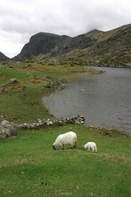006_Gap_of_Dunloe.jpg
