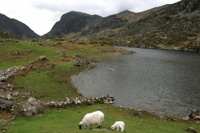 007_Gap_of_Dunloe.jpg