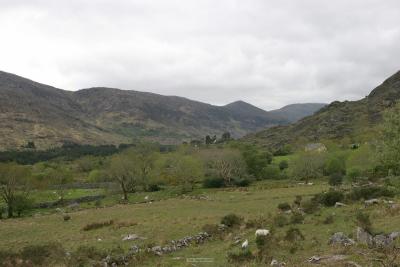 016_Black_Valley.jpg