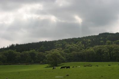 005_Killarney_national_park.jpg