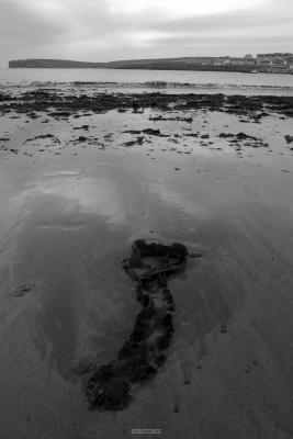 020_KillKee_seashore.jpg