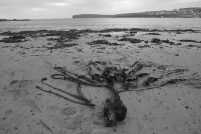 021_KillKee_seashore.jpg