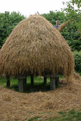u34/oragette/medium/31357865.019_Bunratty_Village.jpg