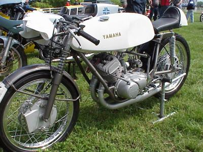 OVM 19