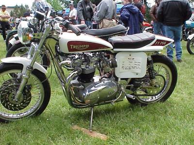 OVM 31
