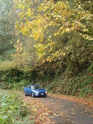 Sports Sedans in the fall... i should sell this beautiful photo to Subaru! (or trade for performance parts!)