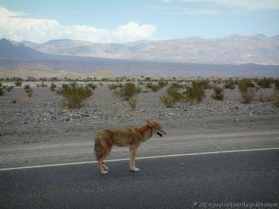 085 Death Valley7.jpg
