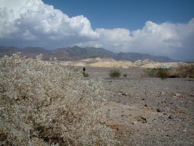 086 Death Valley12.jpg