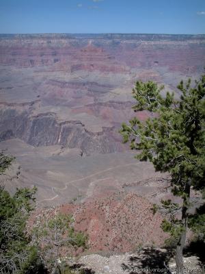 152 Grand Canyon7.jpg