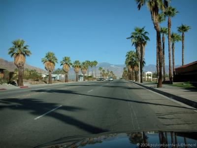 248 Palm Springs3.jpg