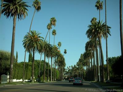 269 Beverly Hills12.jpg