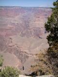 156 Grand Canyon11.jpg